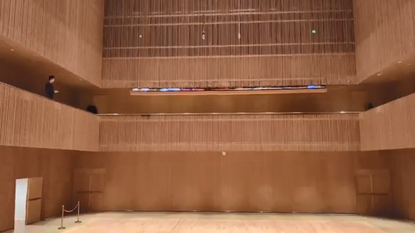 Shanghai Music Symphony Hall P3.9 подъемный светодиодный экран